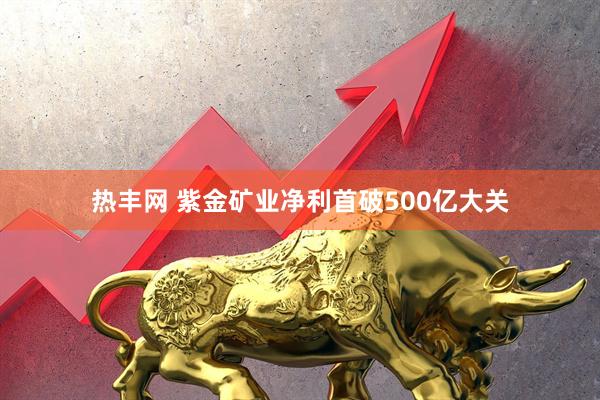 热丰网 紫金矿业净利首破500亿大关