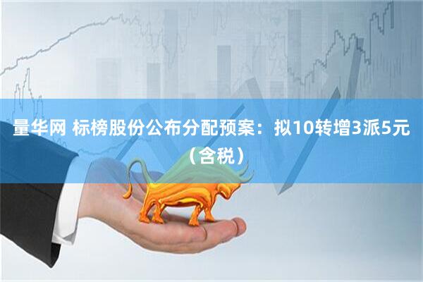量华网 标榜股份公布分配预案：拟10转增3派5元（含税）