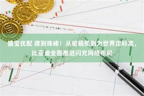 盛宝优配 建到珠峰！从被藐视到为世界定标准，比亚迪全面推进闪充网络布局