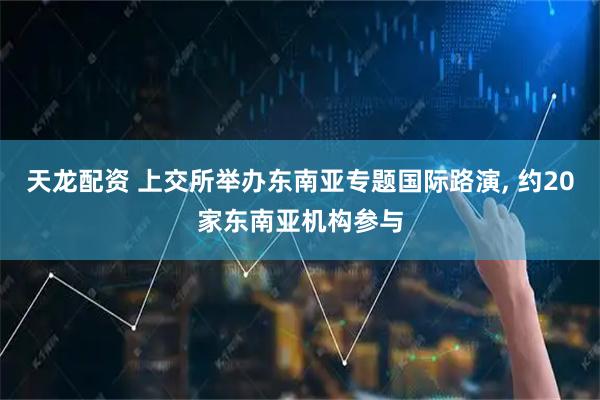 天龙配资 上交所举办东南亚专题国际路演, 约20家东南亚机构参与