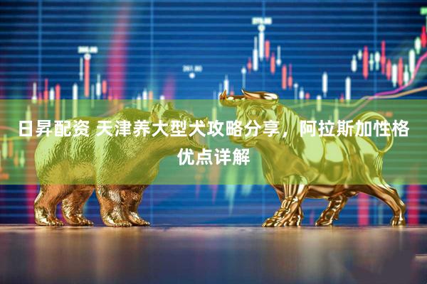 日昇配资 天津养大型犬攻略分享，阿拉斯加性格优点详解