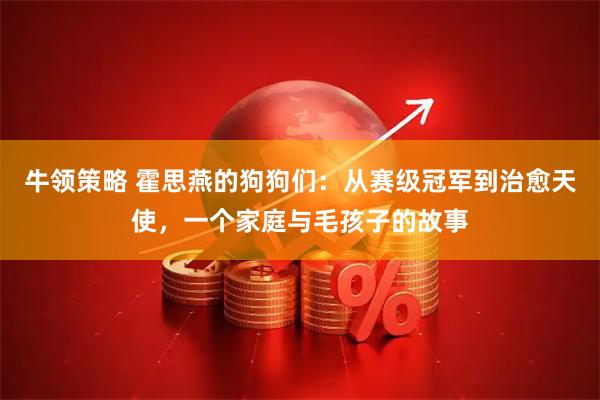 牛领策略 霍思燕的狗狗们：从赛级冠军到治愈天使，一个家庭与毛孩子的故事