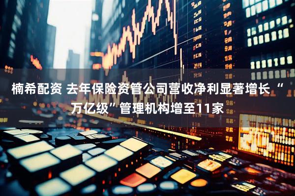 楠希配资 去年保险资管公司营收净利显著增长 “万亿级”管理机构增至11家