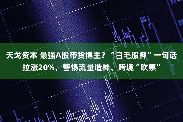 天戈资本 最强A股带货博主？“白毛股神”一句话拉涨20%，警惕流量造神、跨境“吹票”