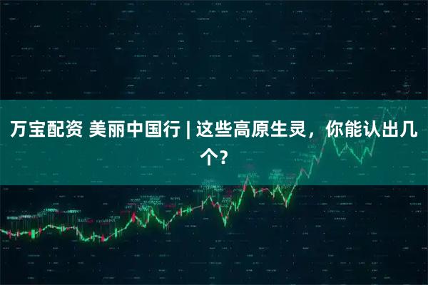万宝配资 美丽中国行 | 这些高原生灵，你能认出几个？