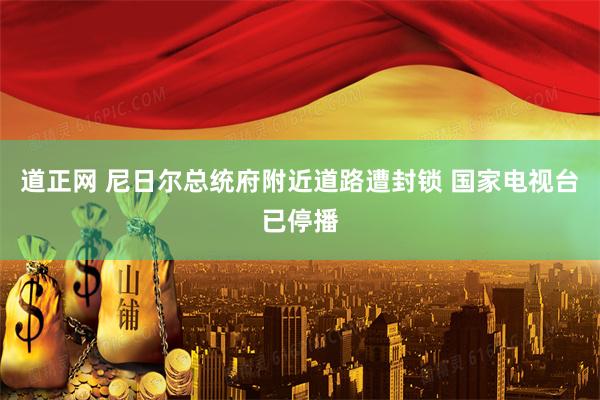 道正网 尼日尔总统府附近道路遭封锁 国家电视台已停播