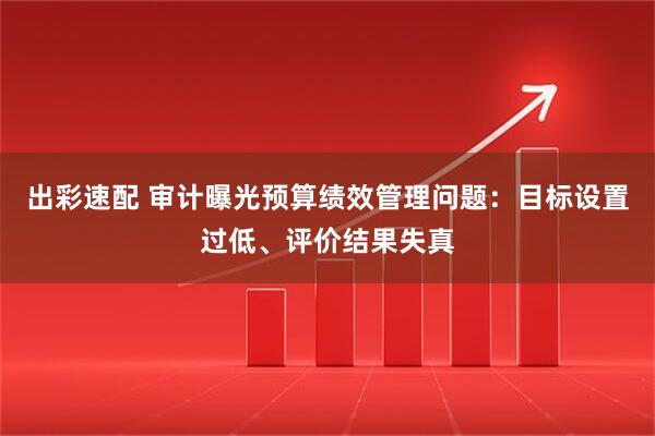 出彩速配 审计曝光预算绩效管理问题：目标设置过低、评价结果失真